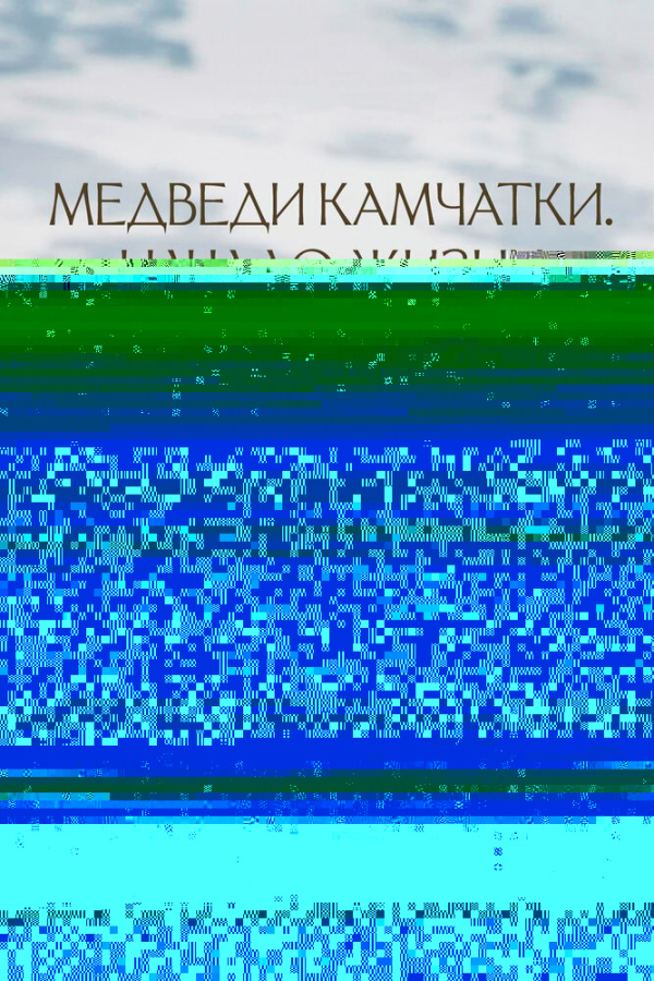 Медведи Камчатки. Начало жизни